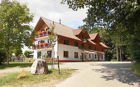 Gasthof Gruener Baum 